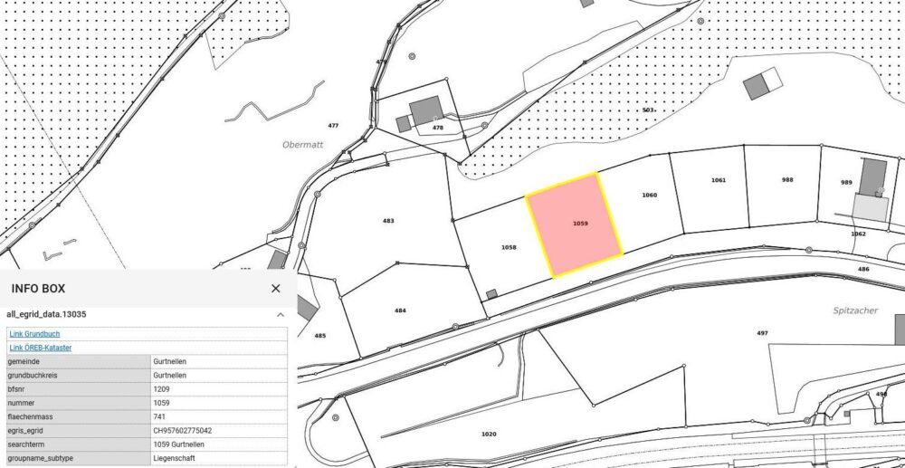 Parcella n. 1059 Comune di Gurtnellen / Intschi