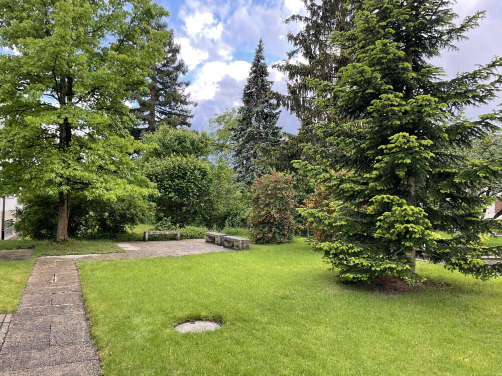 Die Natur bringt viel Ruhe