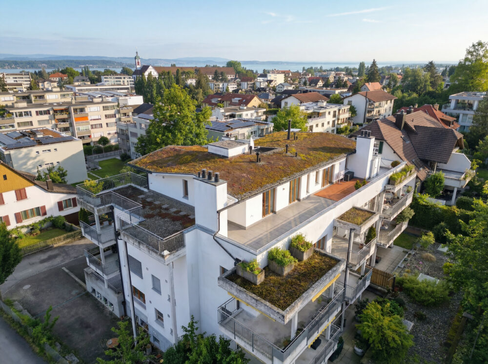 Panoramic view of Lake Constance