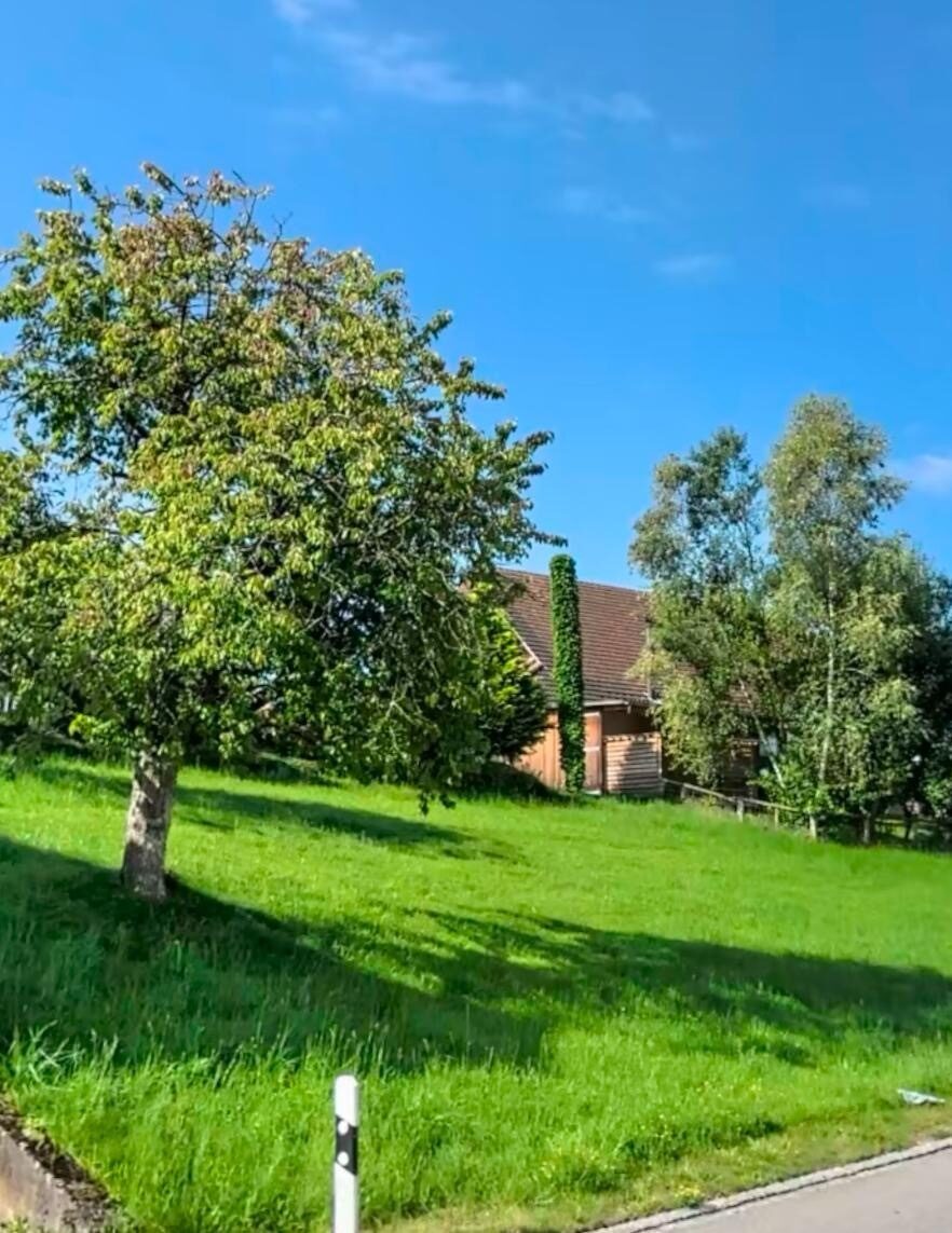 Hier entsteht Zukunft: Ihr neues Zuhause