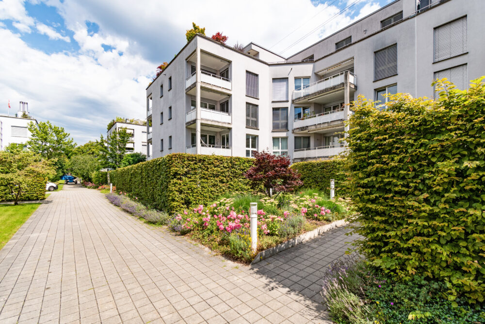 Le calme dans la verdure