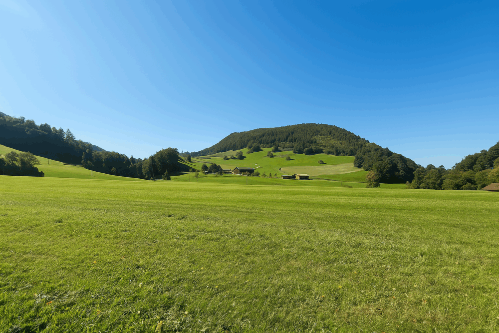 Grünes Paradies direkt am Haus