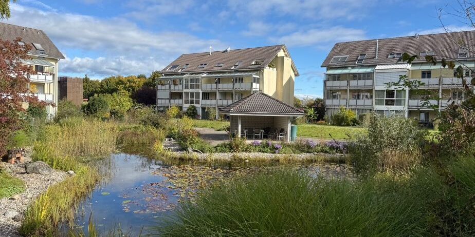 IMG_0839_924-1-924x462