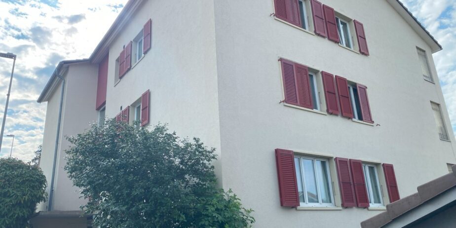 Totalansicht-Muensingen-1-924x462